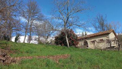 Los Prejones - Foto 2