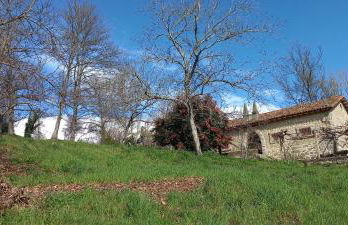 Los Prejones - Photo 2