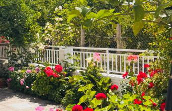 Lemon tree's house - Foto 28