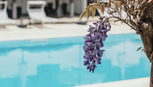 Aquavista Residence - Lakeview Holiday Apartments with Pool - Foto 4, Garden, Garden view