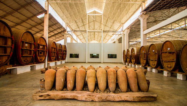 Tour por Ica y la laguna de Huacachina - Foto 5