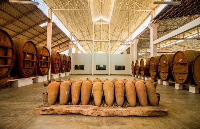 Ica & Huacachina Oasis Tour - Photo 5