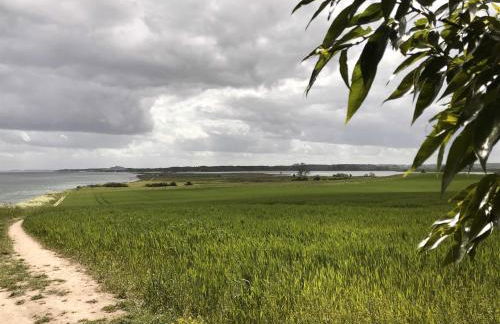 Reetdachkaten in Schuby, Ostsee - Foto 27