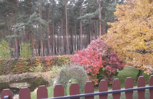 Amselgarten - Foto 41