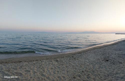 Paradise Place - Foto 7