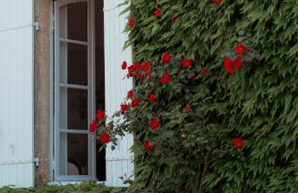 Le Domaine des Ormeaux - Foto 69