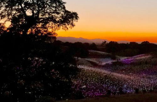 Oakwood Lodge - Foto 44