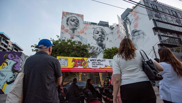 Check out the stunning murals