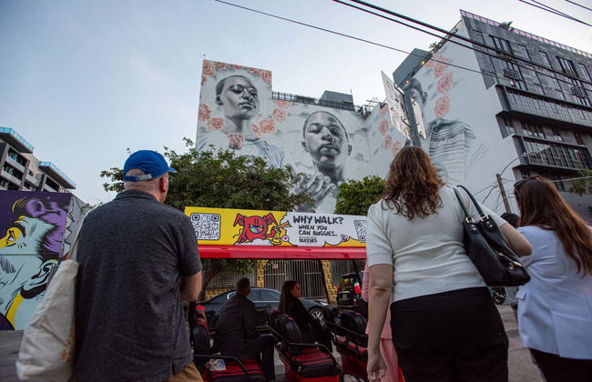 Tour por Wynwood - Foto 3