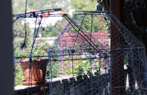 Apartments Leo Katić - Foto 40