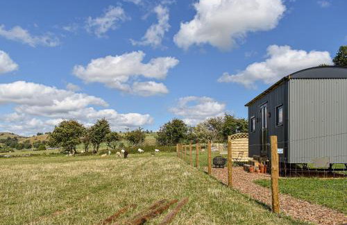 Forget-Me-Not - Uk37646 - Foto 12