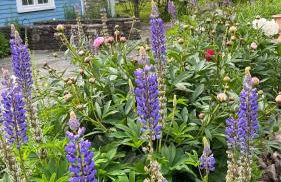 The Tannery House - Foto 40