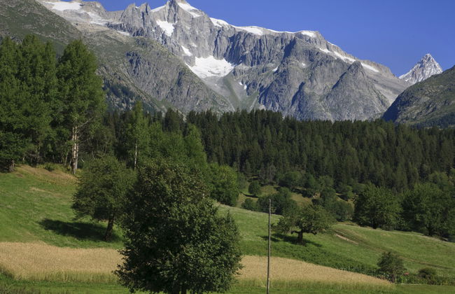 Aragon T100 - Foto 45