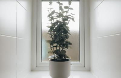 Anchors Retreat - Foto 24