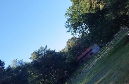 Eco Urbión - Foto 9