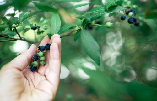 Little Diamond Island - on Private Island - Foto 17