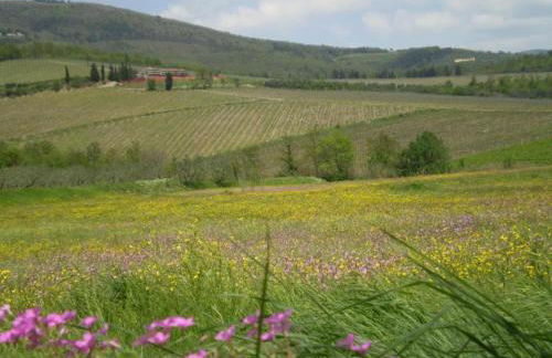 Modern Apartment in Agliana With Shared Garden - Foto 83