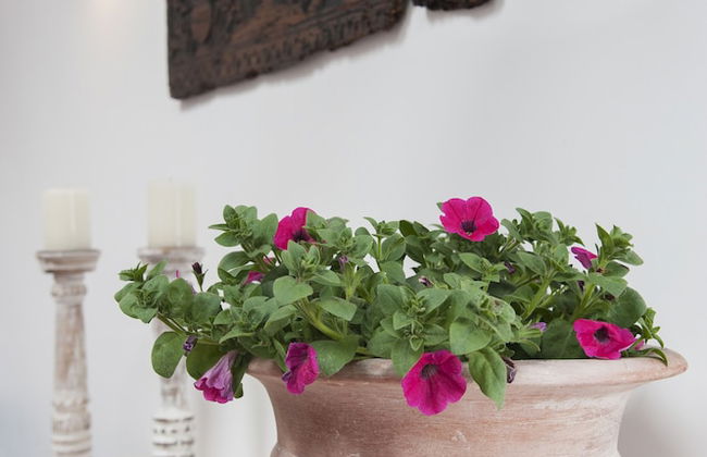 White Jasmine Cottage - Foto 33