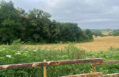 la maison dans la prairie fleurie gite bleuet - Foto 15