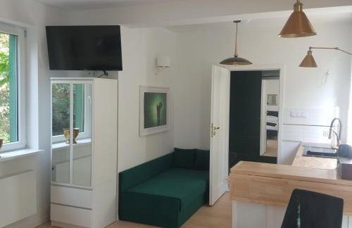 APARTAMENTY ZIELONY KAMELEON - Foto 30