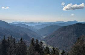 Stecher's Hüsli - Foto 33