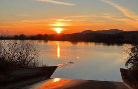 House in the Woods - Foto 44