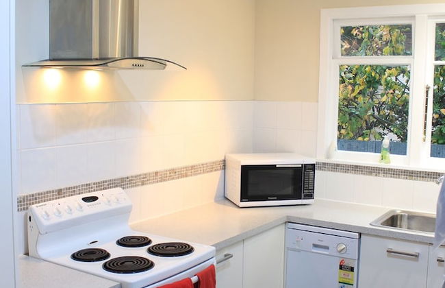 The Green Gecko - Foto 11