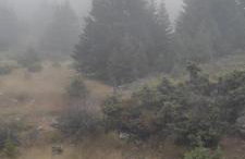 Tsigaridas Mountain Home - Foto 44