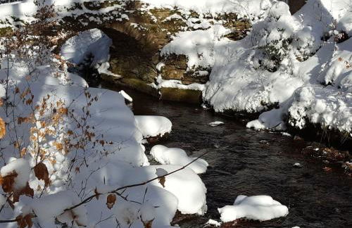 Apartment Komfortwohnung by Interhome - Foto 36