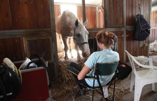 Podere Calledro - Foto 54