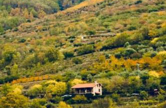 La Seguirilla del Jerte - Foto 8