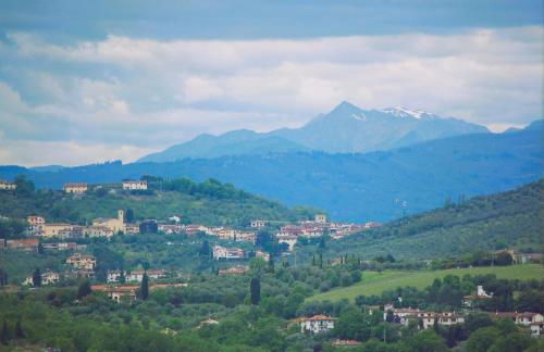 Le Corti - Agriturismo Olio e Vino - Foto 25