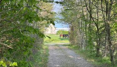 Longère normande avec piscine et jardin - Foto 5