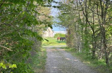 Longère normande avec piscine et jardin - Foto 5