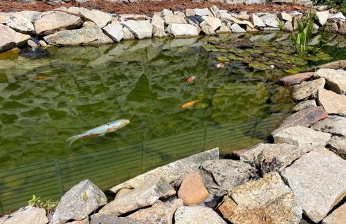 Cantinho D'Aldeia - Foto 51