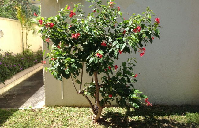 Lovely Apartment in Flic en Flac, Close to the Lovely Beach and all Amenities - Photo 38