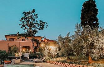 The Olive Grove in Tuscany - Foto 1