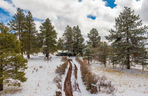 Wild Bill Retreat Treehouse Acre of Fun Near Grand Canyon Williams - Foto 42