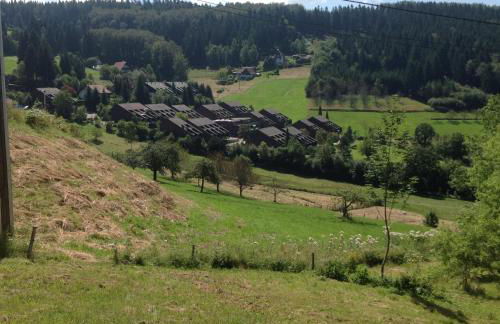 Ferienwohnung Sasbachwalden H2 Ap3 mit beheiztem Innenpool und Sauna - Foto 8