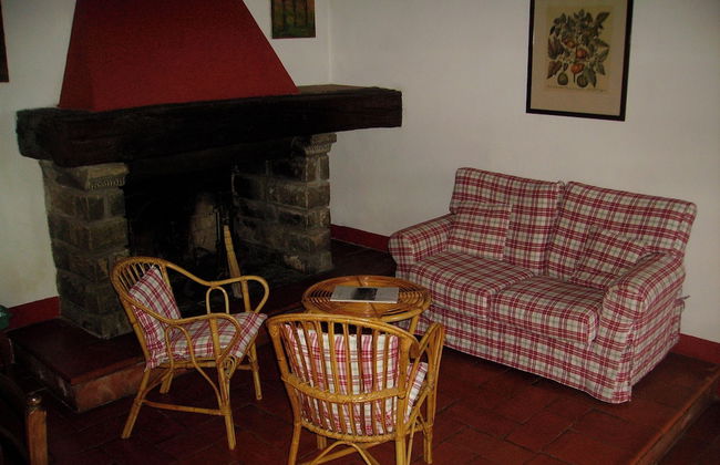 Fattoria Gambaro di Petrognano - Foto 41