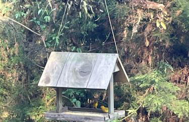 CABANA SERRA DA BALANÇA - Foto 25