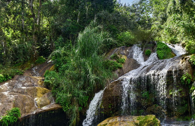 Horse Riding in The Parque El Cubano Natural Park - Foto 1