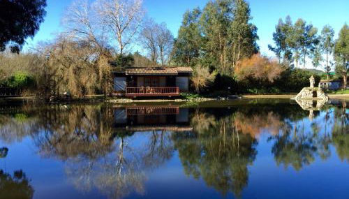 Quinta das Murgas - Foto 2