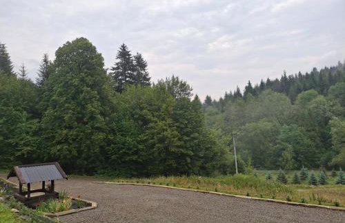 W dolinie Huty - Foto 31