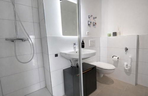 Apartment mit Rheinblick, Messe, Balkon, Küche, Parkplatz - Foto 9