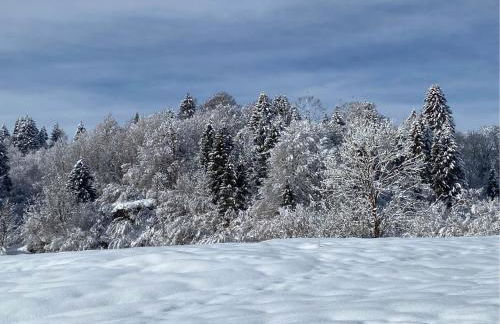 Casa Monte Zebio - Foto 21