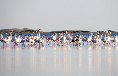 La caseta del canal - Foto 41