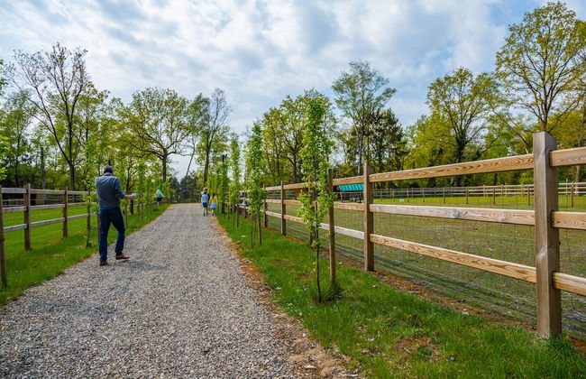 Europarcs Hoge Kempen - Foto 66