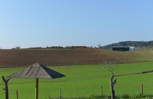 Herdade dos Montes Bastos - Foto 18