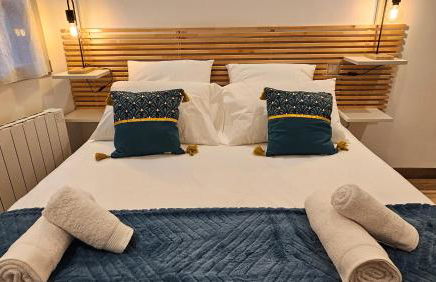 Duplex élégant Tours quais de Loire - Foto 8